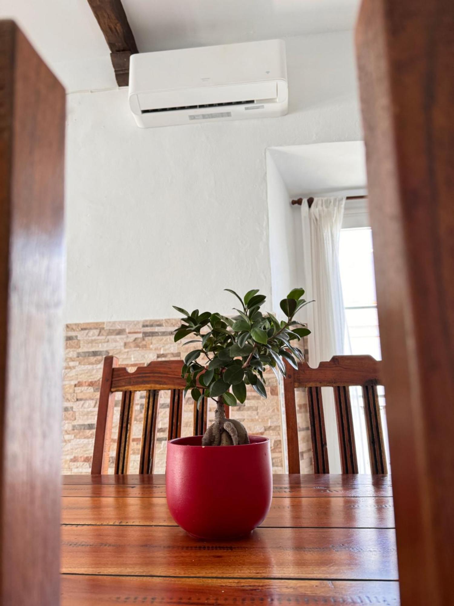 Apartament Cabildo 2 Sanlúcar de Barrameda Zewnętrze zdjęcie